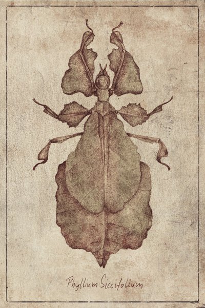  作： 