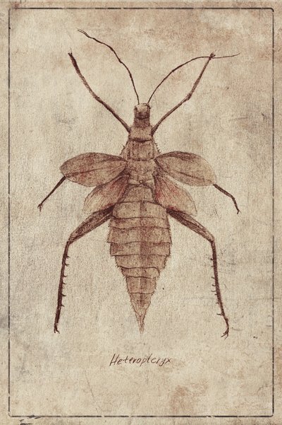  作： 