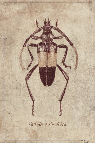  作： 