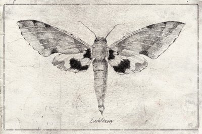  作： 