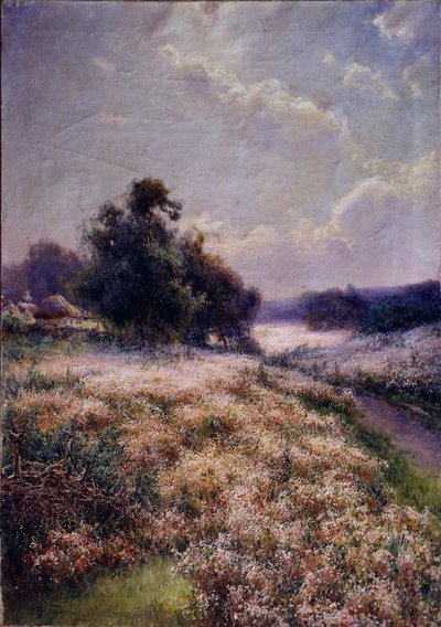咲く草原、1906 作： Mikhail Andreyevich Berkos