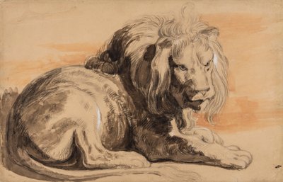 ルーベンスライオン、1840年頃（黄褐色の紙にチョーク、トイレ、ガッシュ） 作： Miles Edmund Cotman