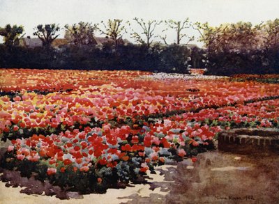 "They spring, they bud, they blossom fresh and faire, and decke the world with their rich pompous showes" (カラーリトグラフ) 作： Mima Nixon