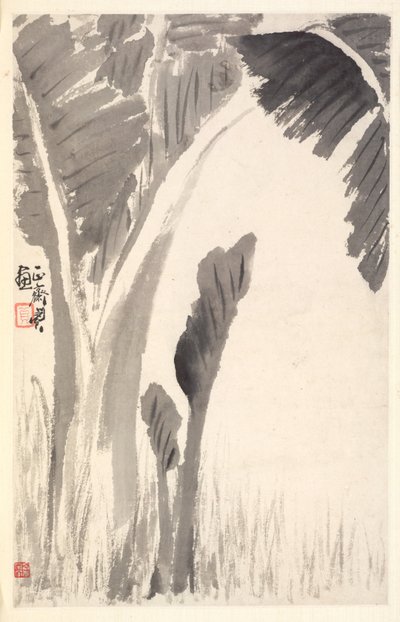 バナナ植物、1788。 作： Min Zhen