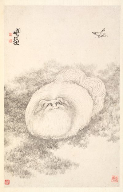 猫と蝶、1788。 作： Min Zhen