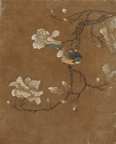 鳥と花の10枚の写真（シルクの色） 作： Ming Dynasty Chinese School