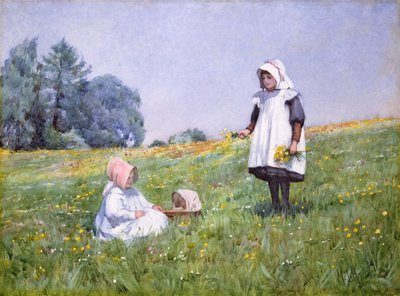 キンポウゲとヒナギク（紙にトイレ） 作： Minnie Jane Hardman
