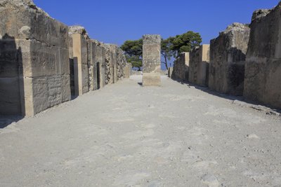 ミノアの遺跡ファイストス。西側の雑誌。宮殿の貯蔵庫の大型複合施設。控えの間、貯蔵室の回廊、貯蔵室自体からなる。回廊の右と左には11の貯蔵室があり、その中には、2つの塔があった。 作： Minoan