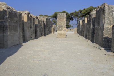 ミノアの遺跡ファイストス。西側の雑誌。宮殿の貯蔵庫の大型複合施設。控えの間、貯蔵室の回廊、貯蔵室自体からなる。回廊の右と左には11の貯蔵室があり、その中には、2つの塔があった。 作： Minoan