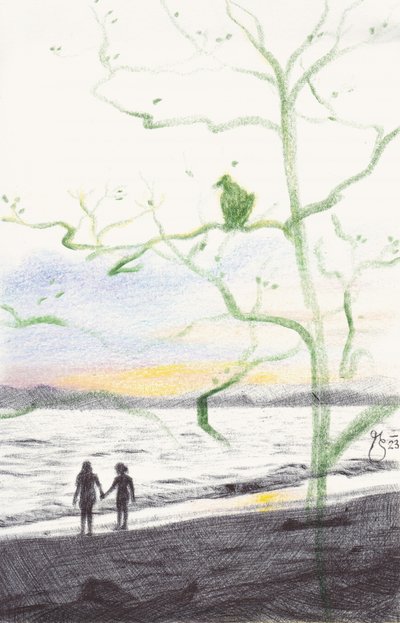 グリーン・ツリー・ビーチの夕日 作： Mirjam Schrei
