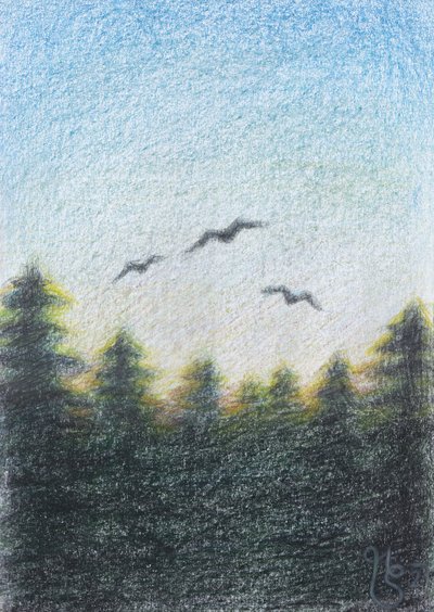  作： Mirjam Schrei