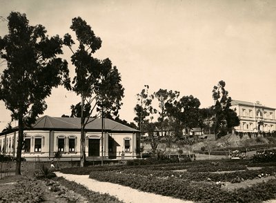 ファシスト時代の帝国建設：アスマラでの関係者の輪、1936年09月05日（モノクロ写真 作： Modestino Baldinetti