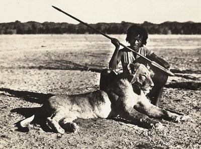 ファシスト時代の帝国建設：ライオンの例 1936年09月05日（モノクロ写真 作： Modestino Baldinetti