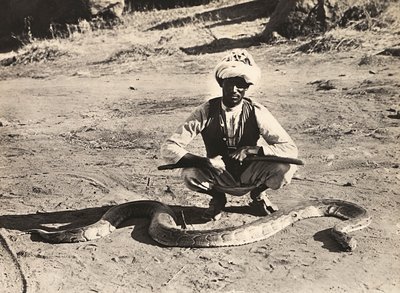 ファシズムの時代に帝国を築く：パイソンを持つインディジーン 1936年09月05日（モノクロ写真 作： Modestino Baldinetti