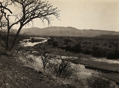 ファシスト時代の帝国建設：ビアゲラのセティ号、1936年09月05日（モノクロ写真 作： Modestino Baldinetti