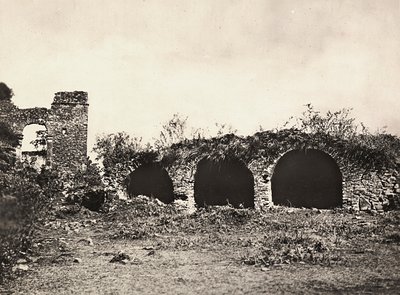 ファシスト時代の帝国建設：エチオピア・ゴンダールのファシラダス王の城にあるライオンの溝、1936年9月5日（モノクロ写真 作： Modestino Baldinetti