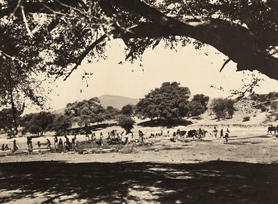 ファシズムの時代に帝国を築く：下層平野の井戸 1936年09月05日（モノクロ写真 作： Modestino Baldinetti