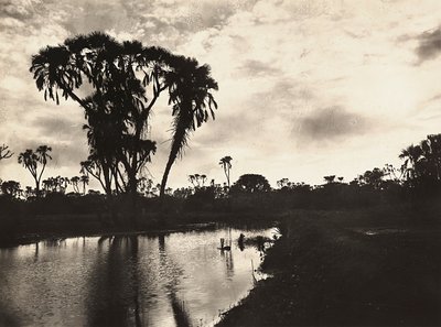ファシストの時代に帝国を築く：西部下層平原、1936年09月05日（モノクロ写真 作： Modestino Baldinetti