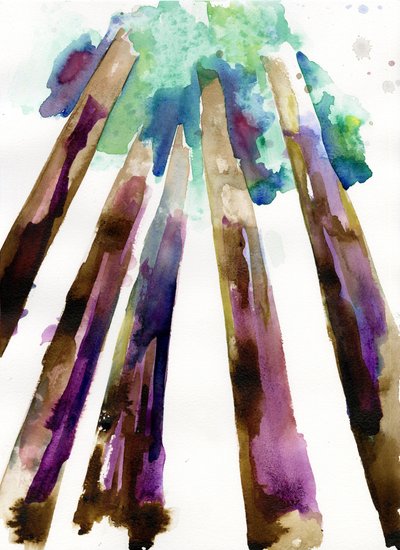 セコイア 3、2021年（ラントン、300gsmコールドプレス紙に水彩画） 作： Monica Perez Vega