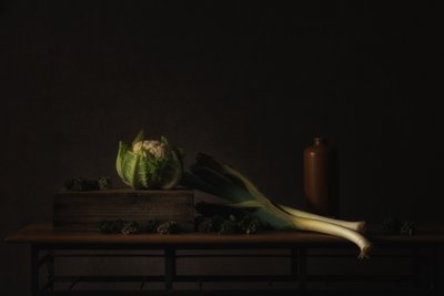  作： Monique van Velzen