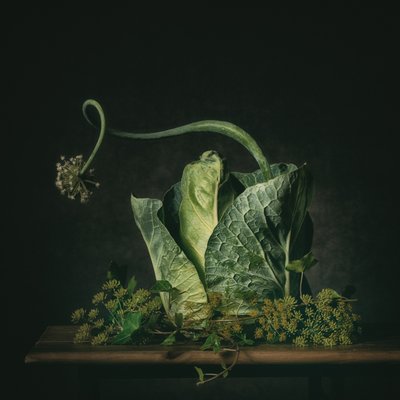  作： Monique van Velzen