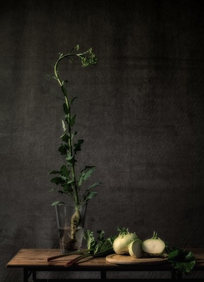  作： Monique van Velzen