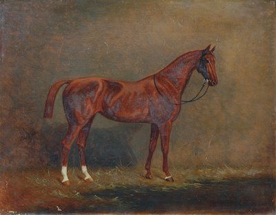 乗馬の肖像画 作： Monogrammist A. G.