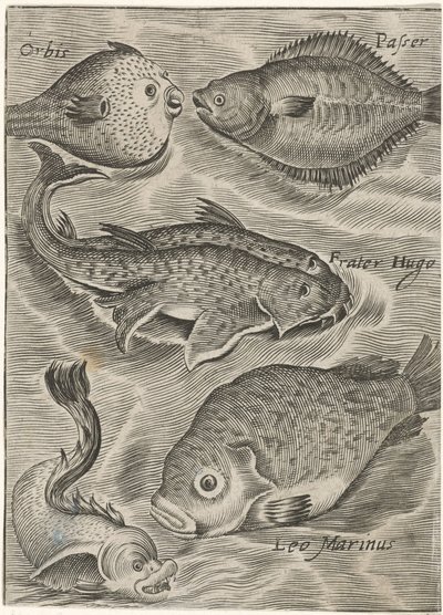 Studieblad は別の方法で出会いました お魚ライブアイコン（連載タイトル） 作： Monogrammist P+P