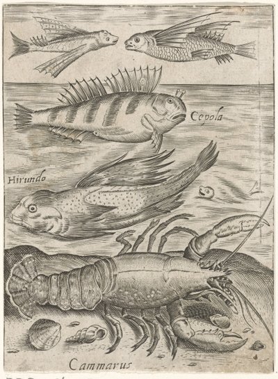 4 匹の魚とロブスターの学習シート Piscium v​​ivae アイコン (シリーズ タイトル) 作： Monogrammist P+P