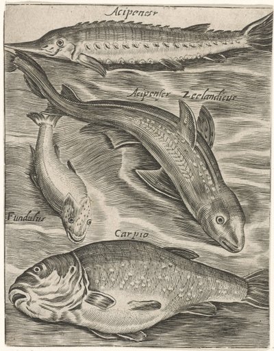 Studieblad と vissen の出会い お魚ライブアイコン（連載タイトル） 作： Monogrammist P+P