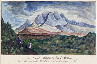 マルティニーク島のペレ山からのピトンデュカルベの眺め、1815年頃（紙に水彩） 作： Moreau de Jones