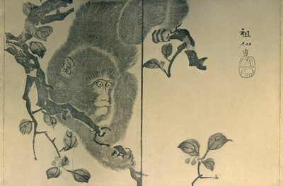 サル、1815年、1924年。 作： Mori Sosen