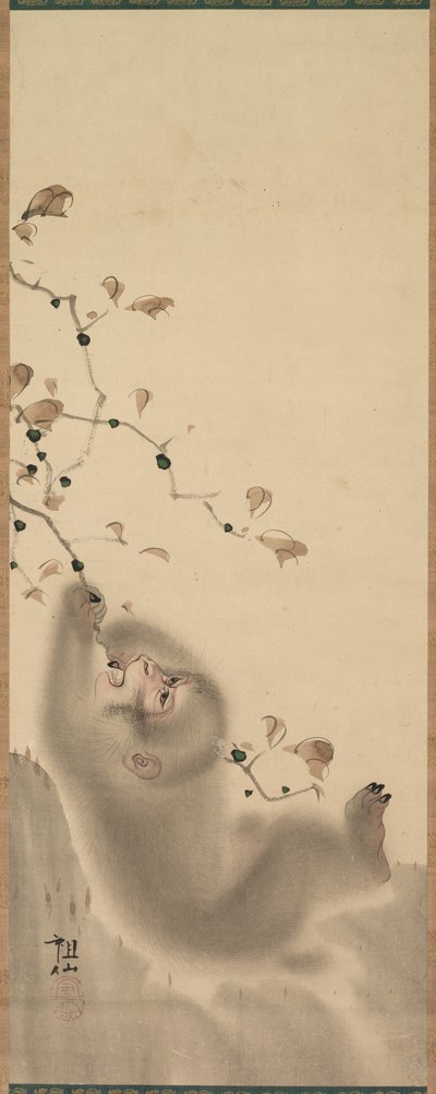 枝にぶら下がっている猿、1780。 作： Mori Sosen