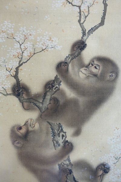 絹本・墨画・彩色 「花咲く桜の中の猿」森宗全 日本・江戸時代 1800年代前半 DSC01127 作： 森宗仙