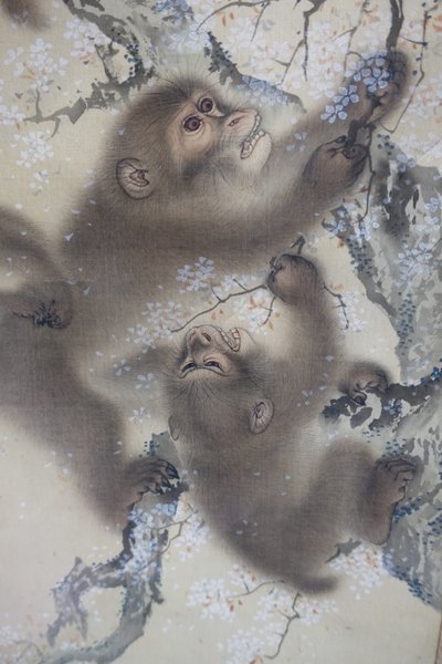 絹本著色「花咲く桜の中の猿」2枚組2 森宗全 江戸時代・1800年代前半 ハーバード大学アーサー・M・サックラー美術館 DSC01128 作： 森宗仙