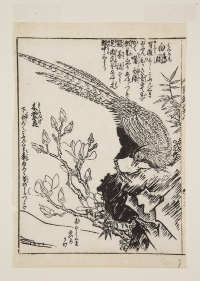 キジと木蓮（カラー木版画 作： Morikuna Morikuna