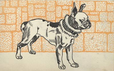 ピットブル テリア、1912 年。 作： Moritz Jung