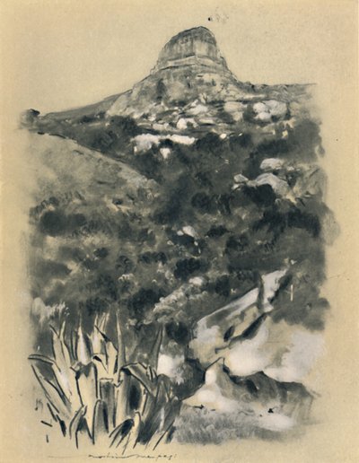 「ブルームフォンテーン」、1903 作： Mortimer L Menpes