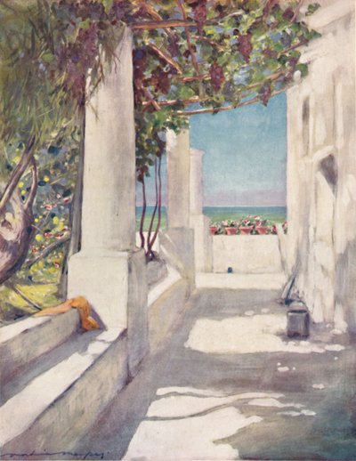 「カプリ」、1903 作： Mortimer L Menpes