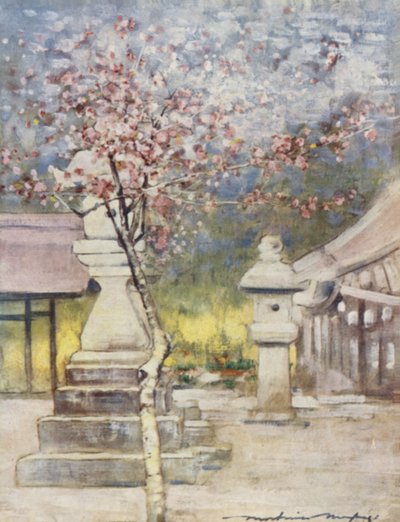 桃の花 作： Mortimer Ludington Menpes