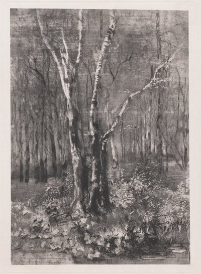 モンツァ近くの公園の森 作： Mose Bianchi