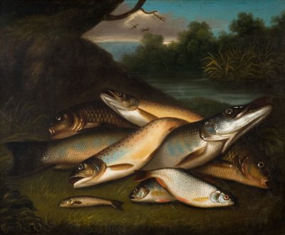 フィッシュ、1790年。 作： Moses Haughton