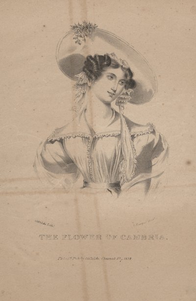 カンブリアの花、CGチャイルズによるリソ、1830年 作： Moses Swett