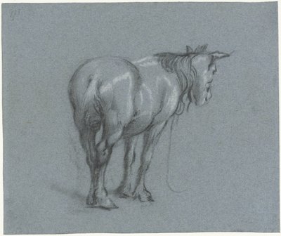 後ろから右に馬の研究 立ち仕事馬 (シリーズタイトル) 作： Moses Ter Borch