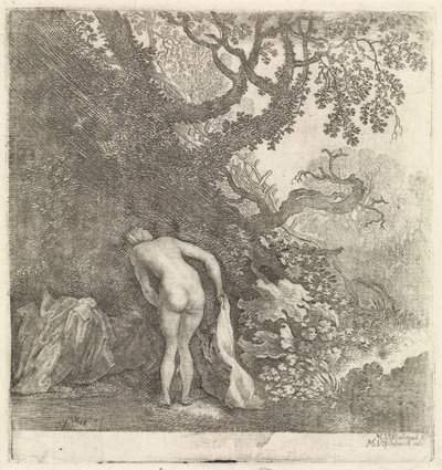後ろから見た入浴中の女性 作： Moyses van Wtenbrouck