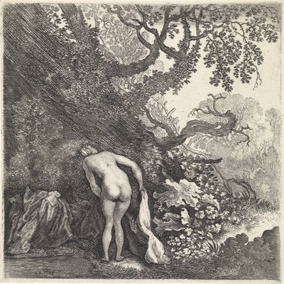 後ろから見た入浴中の女性 作： Moyses van Wtenbrouck