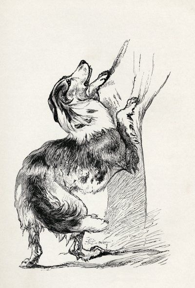 チャールズダーウィンの「人と動物の感情の表現」（1872年）から、彼の主人を愛撫する半飼いのシェパードドッグ 作： Mr. A. May