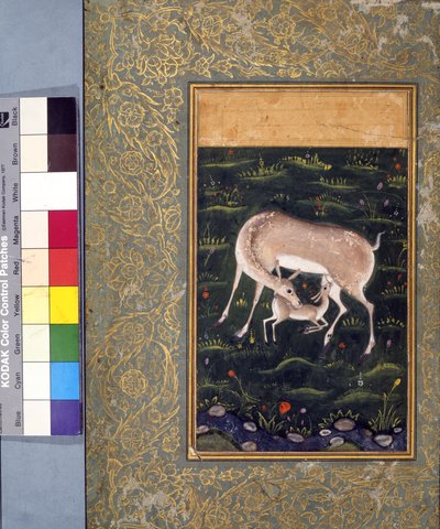子鹿を看護しているdoe、c.1560（不透明な水彩画と紙に金）[6040456も参照] 作： Mughal School