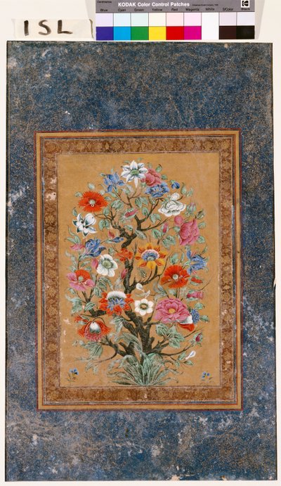 神話の植物 作： Mughal School