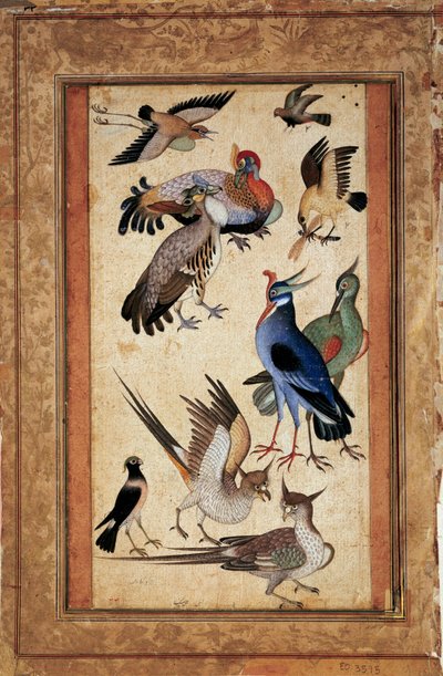 10羽の鳥。塾のガッシュでのミニチュアペインティング moghole 作： Mughal School